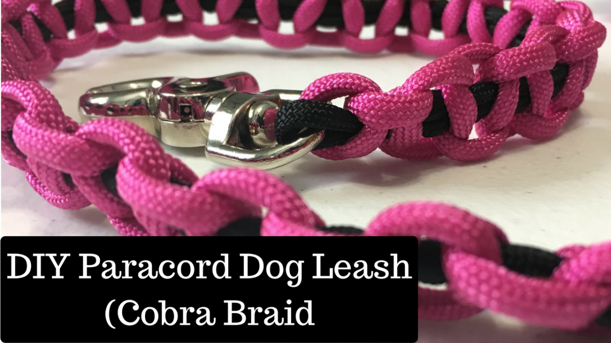 diy paracord dog leash cobra braid