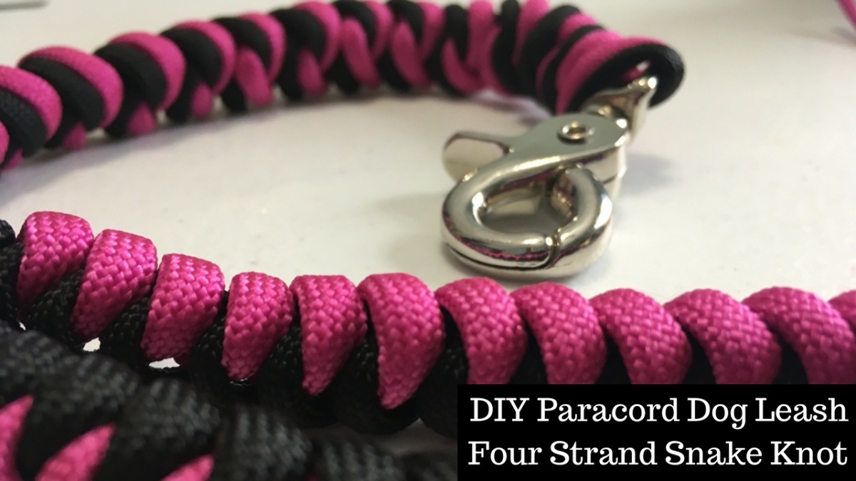 paracord dog leash 4 strand snake knot