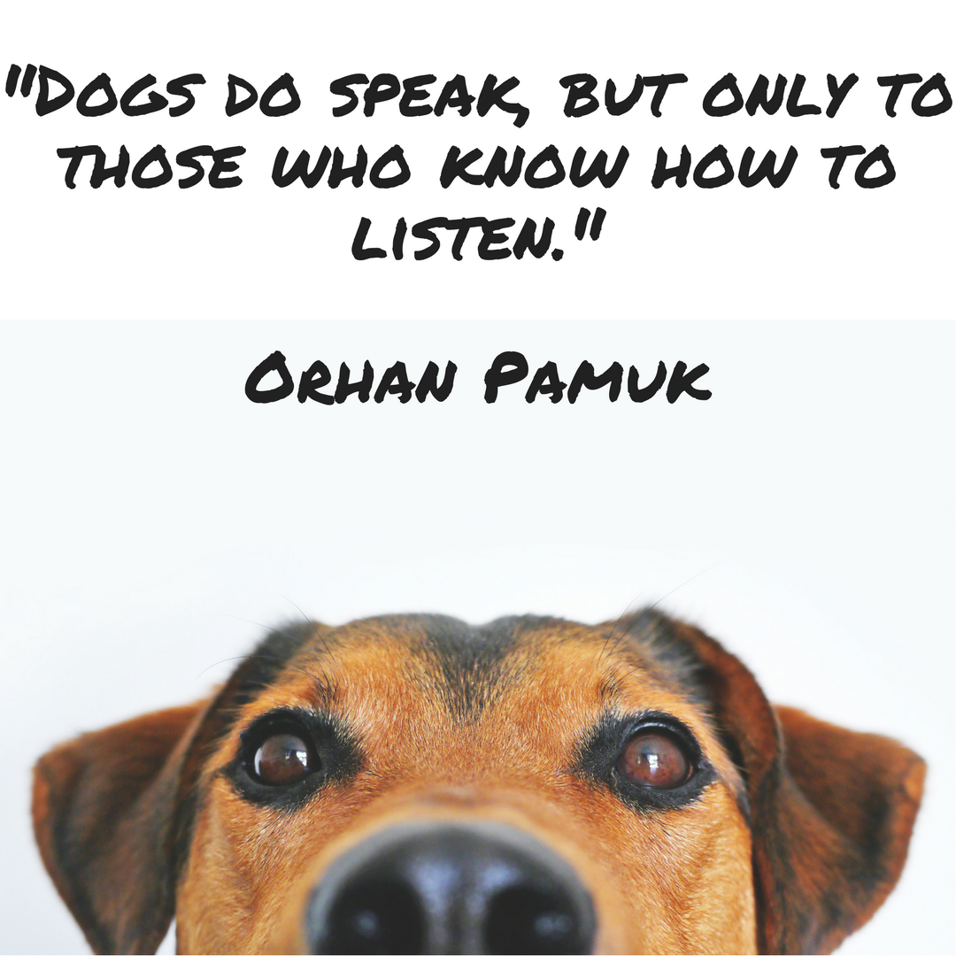 Dog Quote Tuesday Communication Paw Palz dog-quote-tuesday-communication-paw-palz