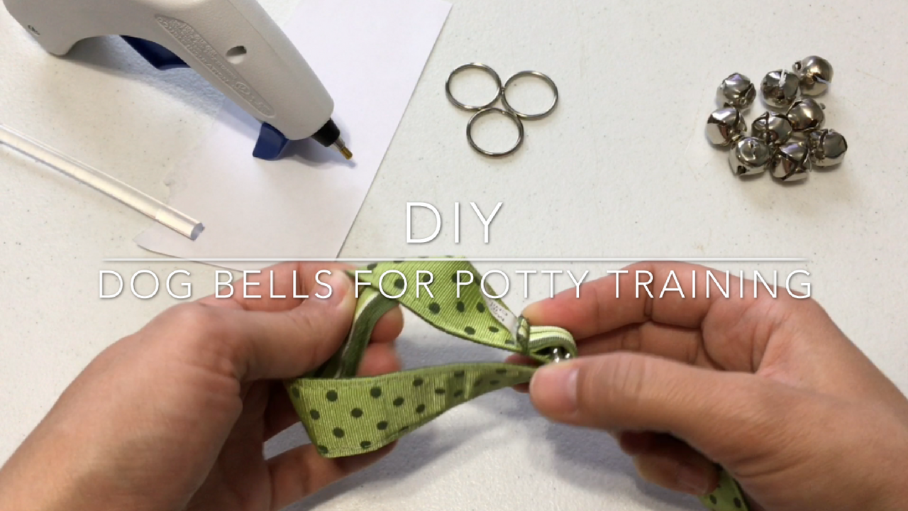 DIY Dog Bells For Potty Training