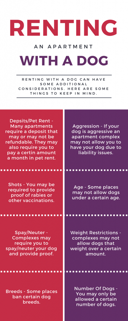 renting with a dog