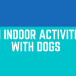 fun indoor activities with dogs