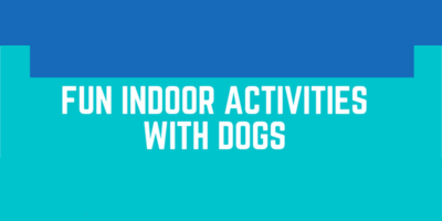 fun indoor activities with dogs