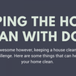 keeping house clean with dogs