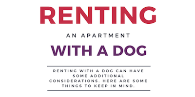 renting with a dog