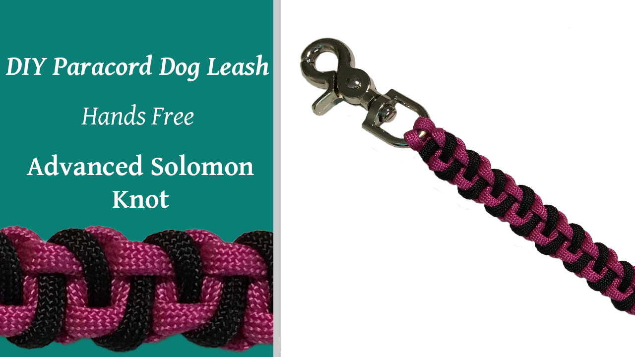 DIY Paracord Dog Leash - Advanced Solomon - Paw-Palz