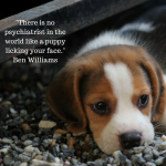 There is no psychiatrist in the world like a puppy licking your face. — Ben Williams