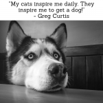 funny dog quote