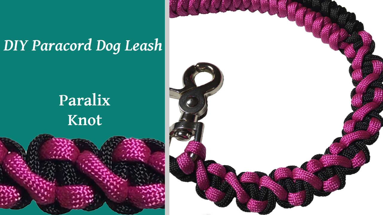 Paracord dog deals leash patterns
