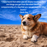 I have found that when you are deeply troubled, there are things you get from the silent devoted companionship of a dog that you can get from no other source. - Doris Day