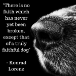 “There is no faith which has never yet been broken, except that of a truly faithful dog“(1)