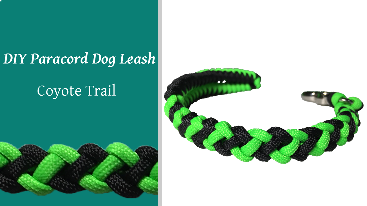 DIY Paracord Dog Leash Coyote Trail Knot