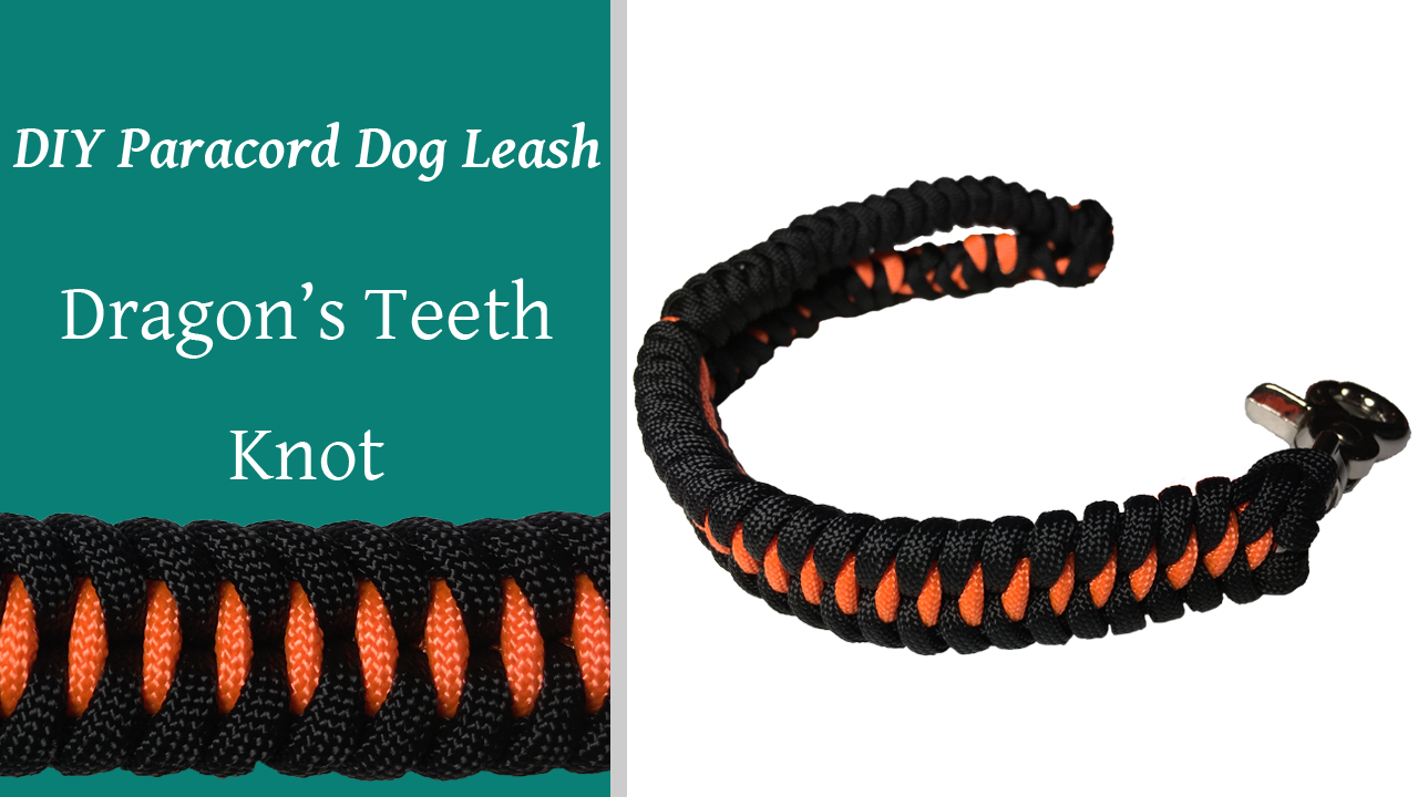 DIY Paracord Dog Leash Dragons Teeth Knot