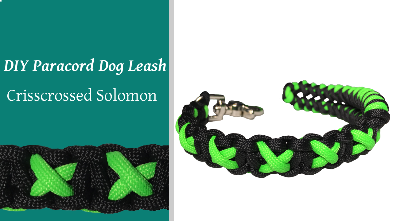 DIY Paracord Dog Lead Crisscross Solmon