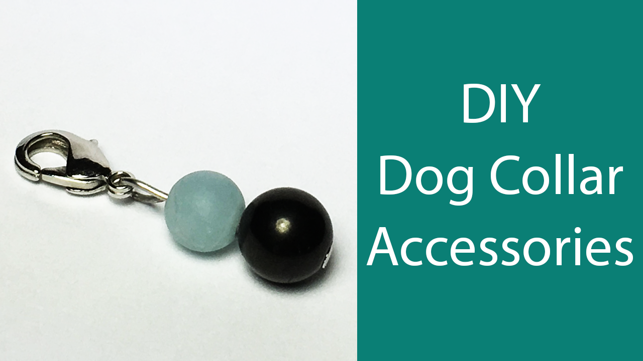 DIY-Dog-Collar-Accessories