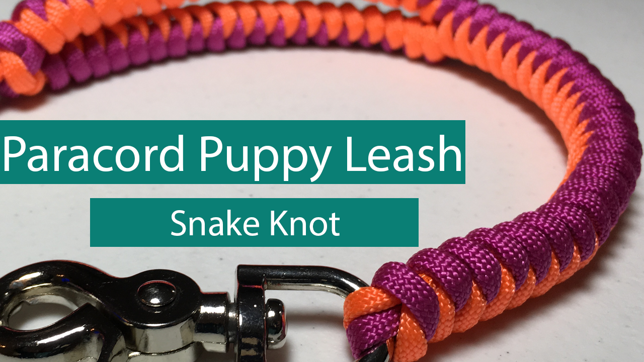 mulighed Barn beundre DIY Paracord Puppy Leash - Snake-Knot - Paw-Palz