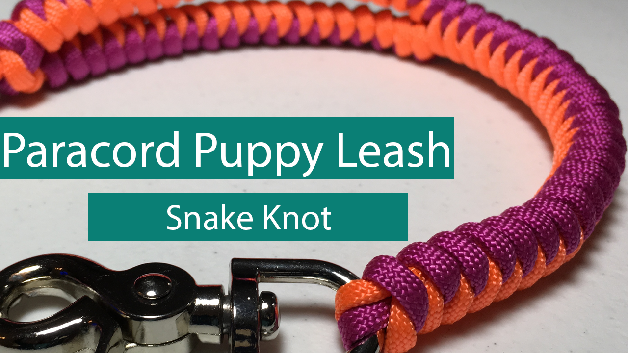 How to Make a Paracord Dog Leash