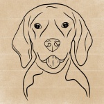 beagle-face-drawing
