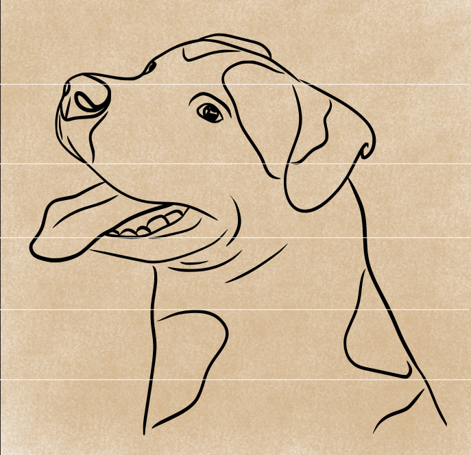 How to Draw a Dog - An Easy Dog Drawing Guide-saigonsouth.com.vn