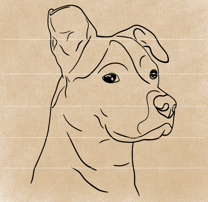 How To Draw A Dog Face Realistic But Easy
